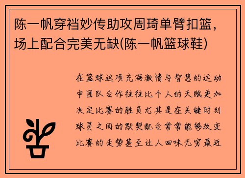 陈一帆穿裆妙传助攻周琦单臂扣篮，场上配合完美无缺(陈一帆篮球鞋)